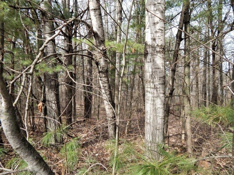 XXYZ Par Circle, Pine City, MN 55063