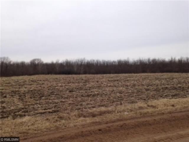 XXX Raspberry Rd, Pine City, MN 55063