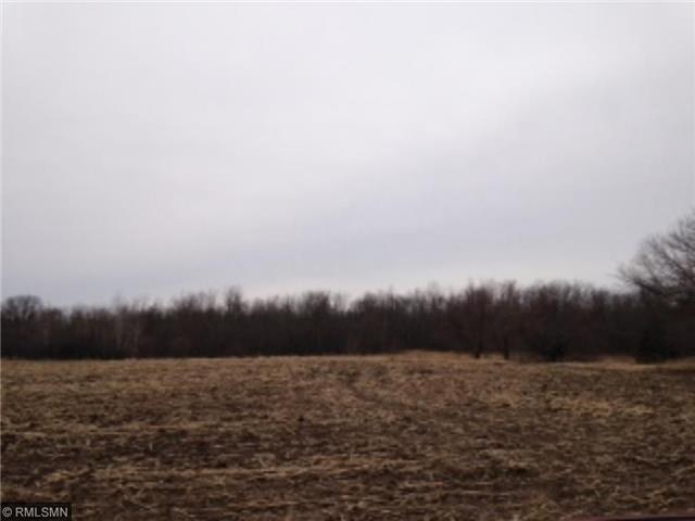 XXX Raspberry Rd, Pine City, MN 55063
