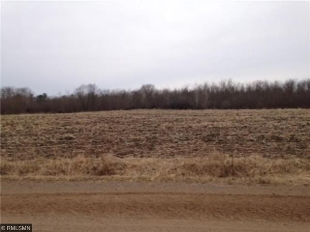 XXX Raspberry Rd, Pine City, MN 55063