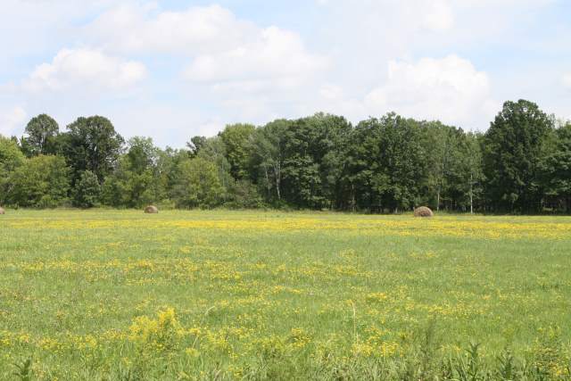 22XX2 Contrast Rd, Pine City, MN 55063
