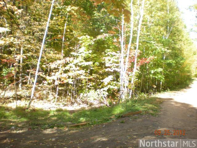 xxx Ridge Road, Pine City, MN 55063
