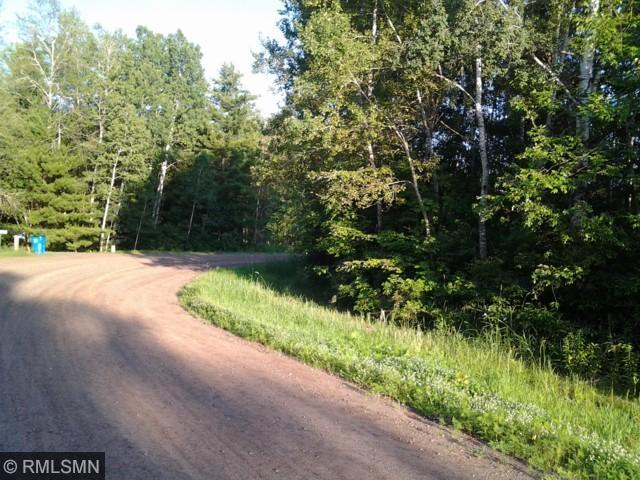 3xxx0 E River Way, Pine City Twp, MN 55063
