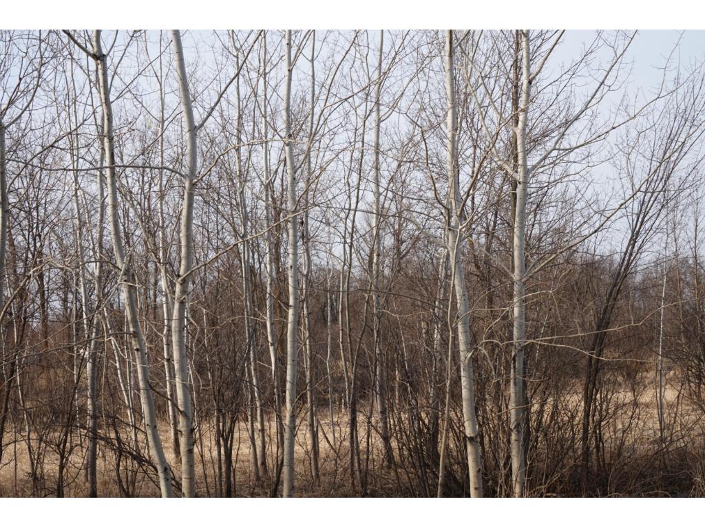 Lot 4 Rush Lake Road, Rush City, MN 55069