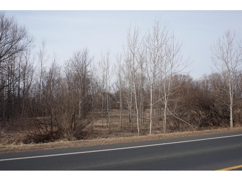 Lot 5 Rush Lake Road, Rush City, MN 55069