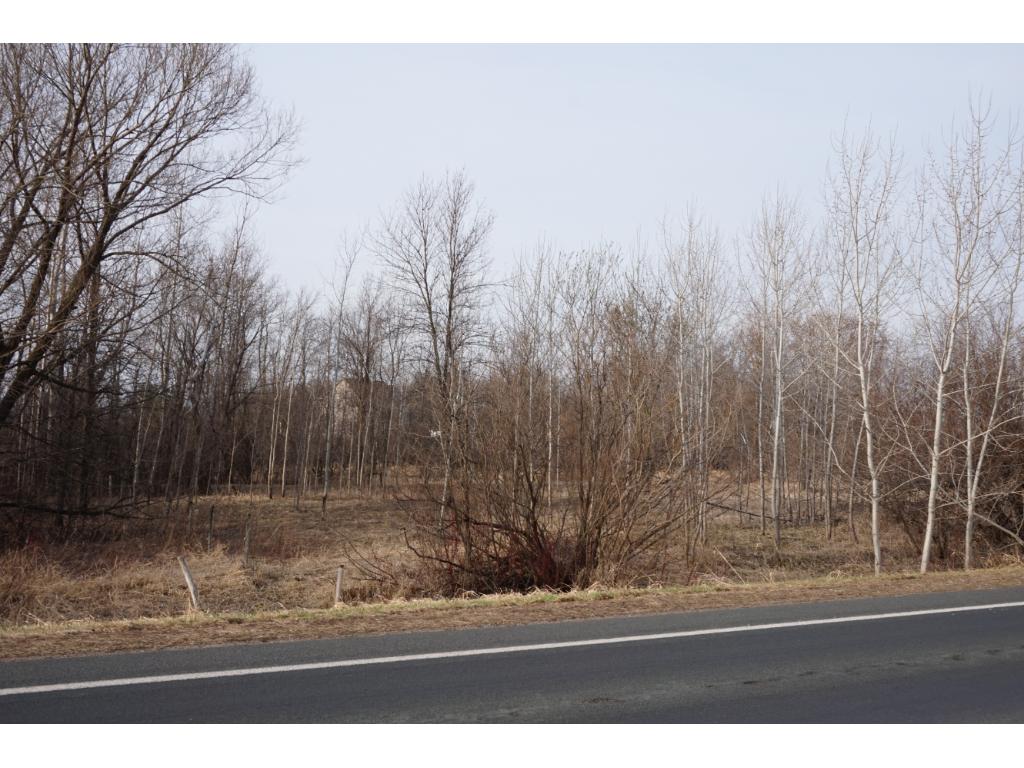 Lot 5 Rush Lake Road, Rush City, MN 55069