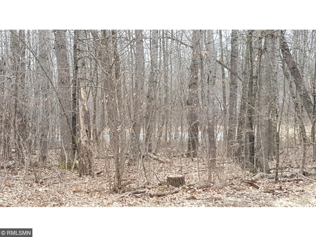 Xxx River Road, Rushseba Twp, MN 55069