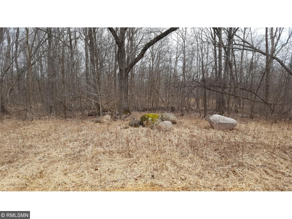 Xxx River Road, Rushseba Twp, MN 55069