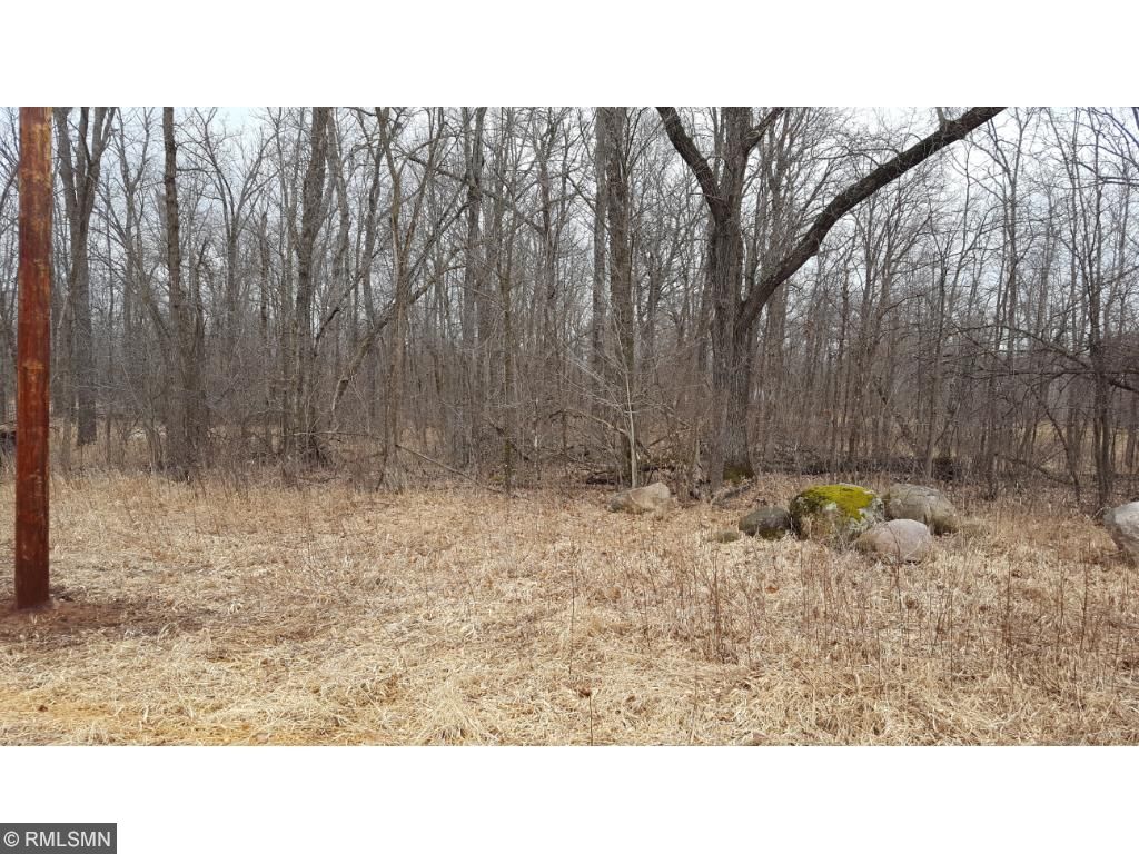 Xxx River Road, Rushseba Twp, MN 55069