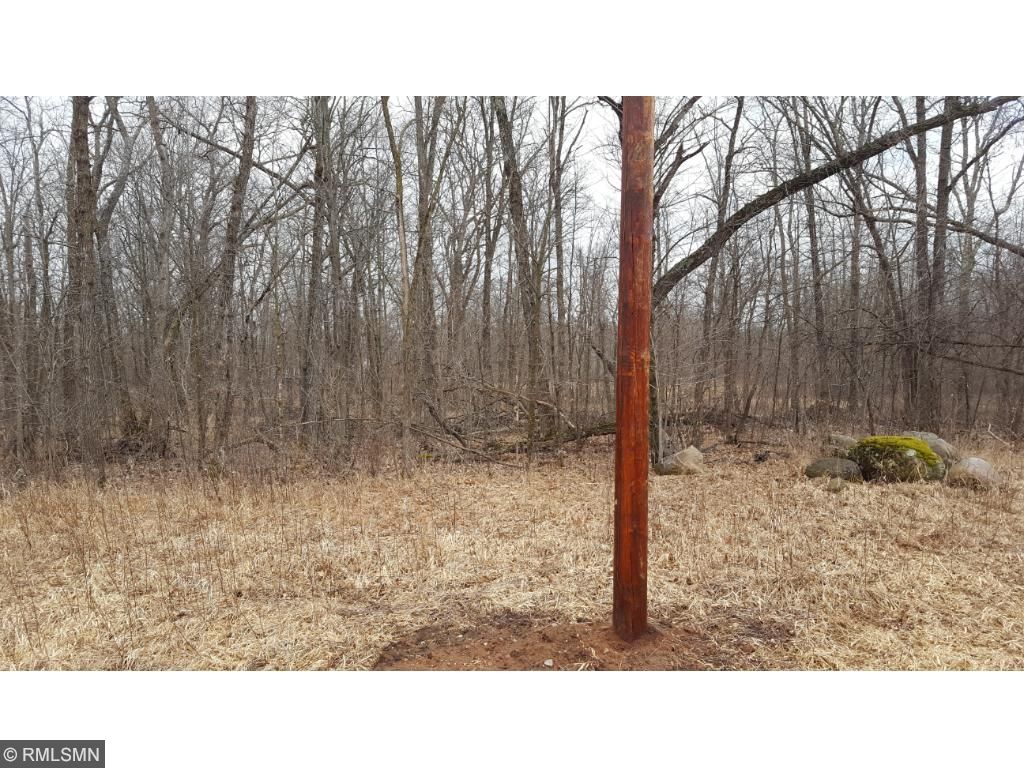 Xxx River Road, Rushseba Twp, MN 55069