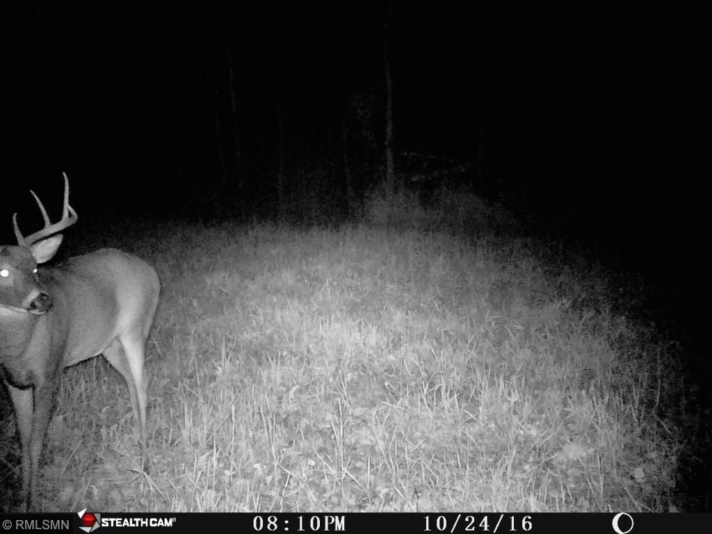 Xxx River Road, Rushseba Twp, MN 55069