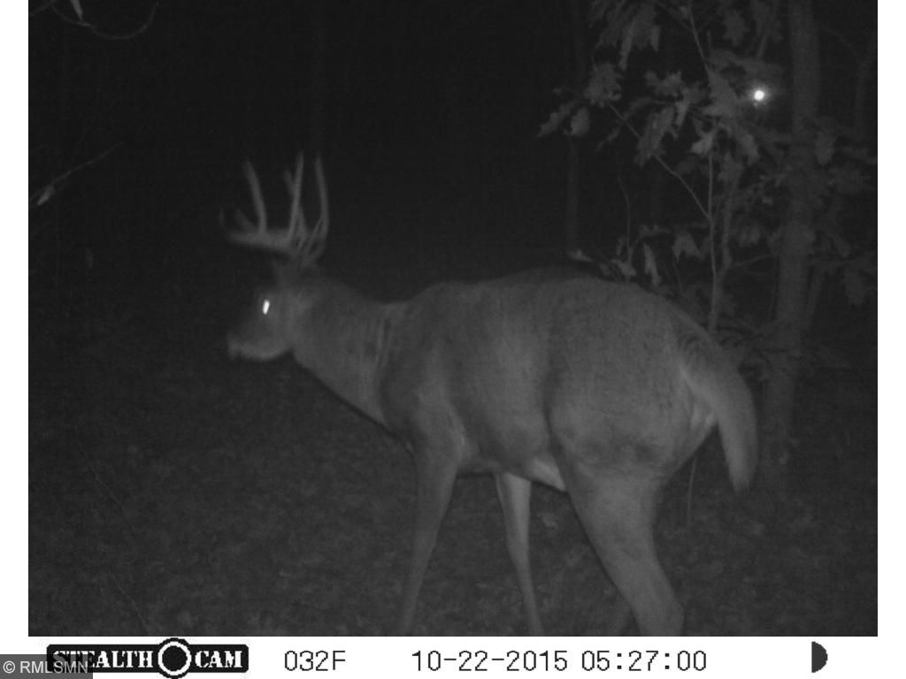 Xxx River Road, Rushseba Twp, MN 55069