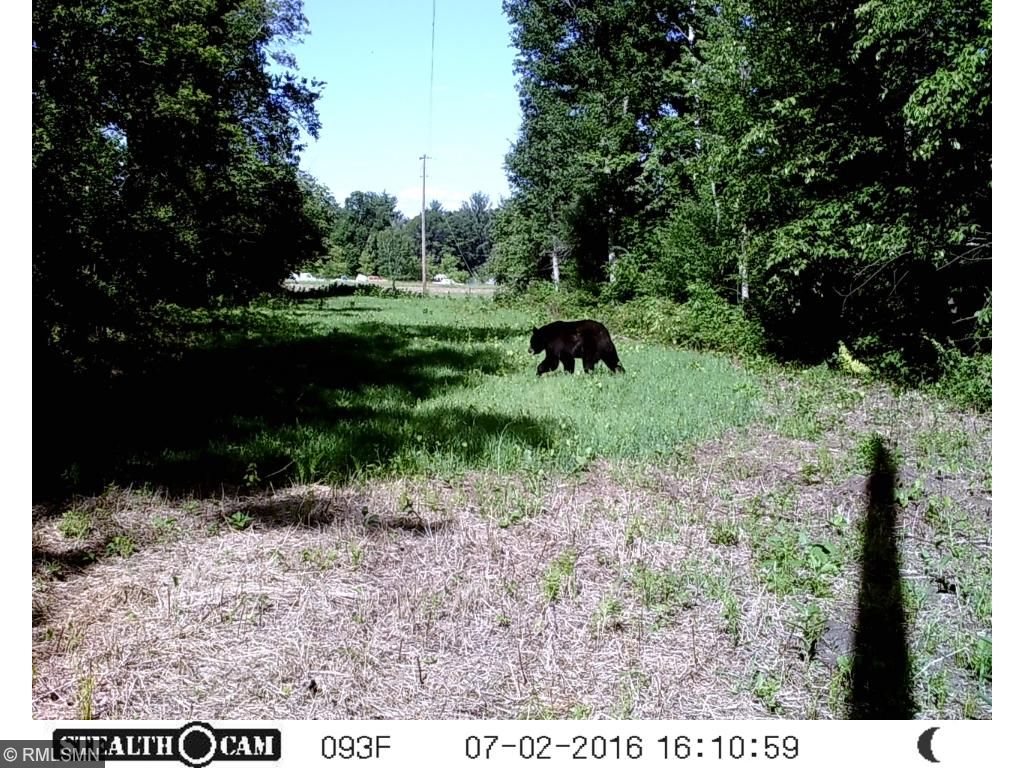 Xxx River Road, Rushseba Twp, MN 55069