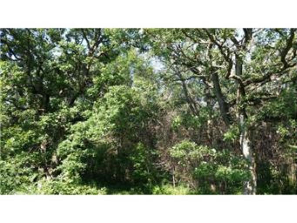 2318X Butterfield Drive, Saint Francis, MN 55070