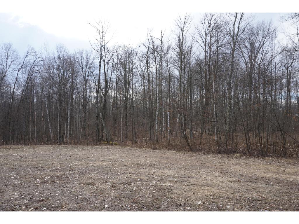 XXX Woody Court, Sandstone, MN 55072