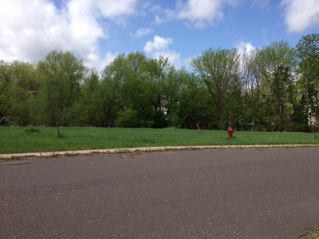 Xxxx Revere Avenue, Shafer, MN 55074