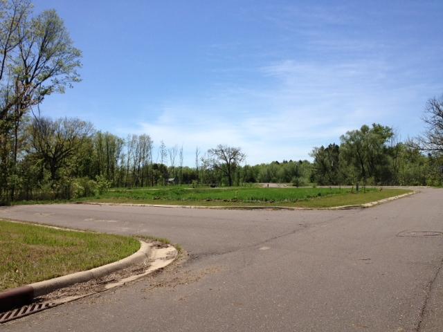 Xxxx Revere Avenue, Shafer, MN 55074