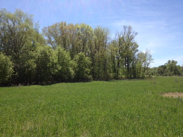 Xxxx Revere Avenue, Shafer, MN 55074