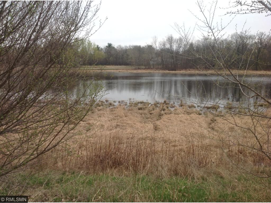 xxxx Prairie Court, Stacy, MN 55079