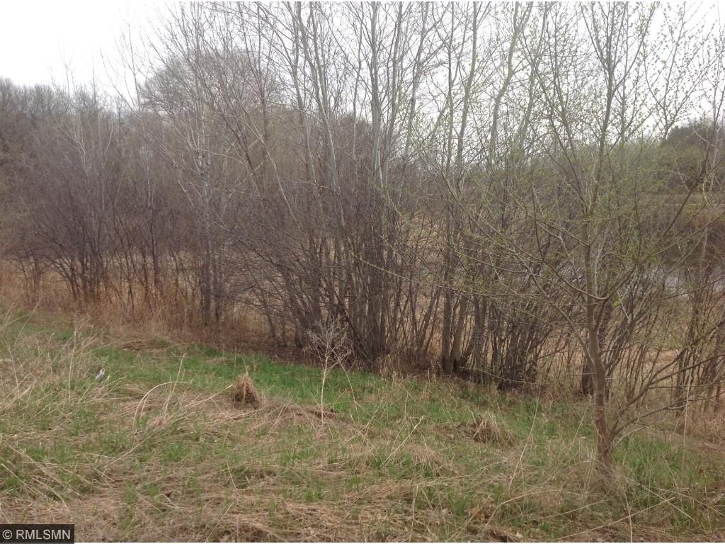 xxxx Prairie Court, Stacy, MN 55079
