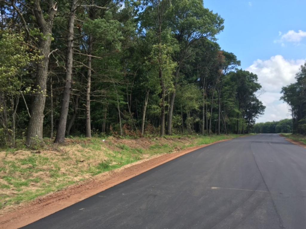 Lot 3 254th Court NE, Stacy, MN 55079