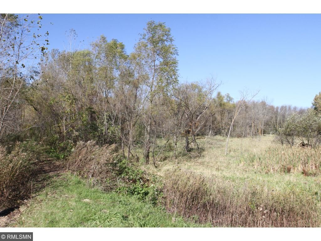 XXX Isaak Avenue NW, Annandale, MN 55302