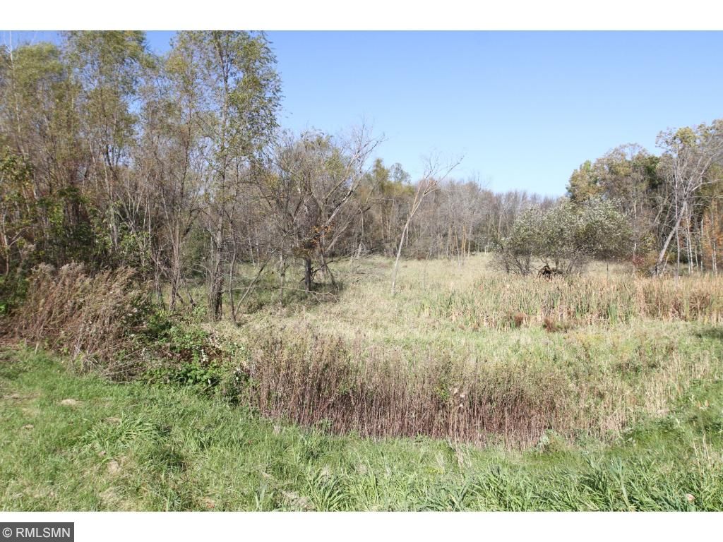 XXX Isaak Avenue NW, Annandale, MN 55302