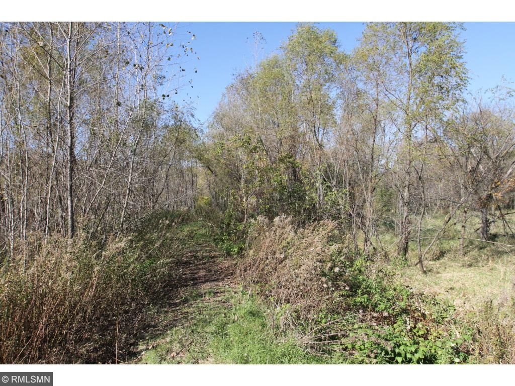 XXX Isaak Avenue NW, Annandale, MN 55302