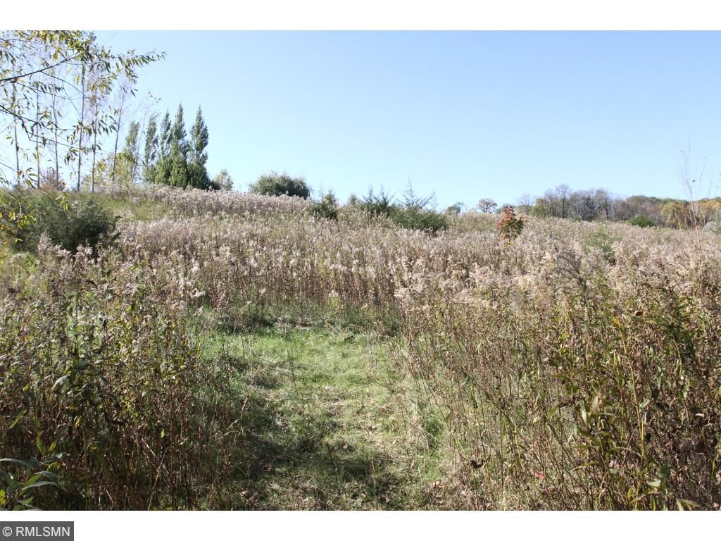 XXX Isaak Avenue NW, Annandale, MN 55302