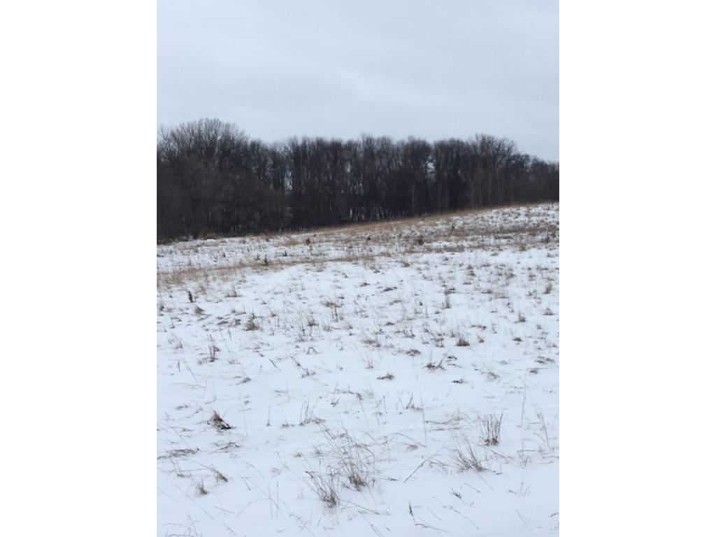 XXX County Rd 18, Dassel, MN 55325