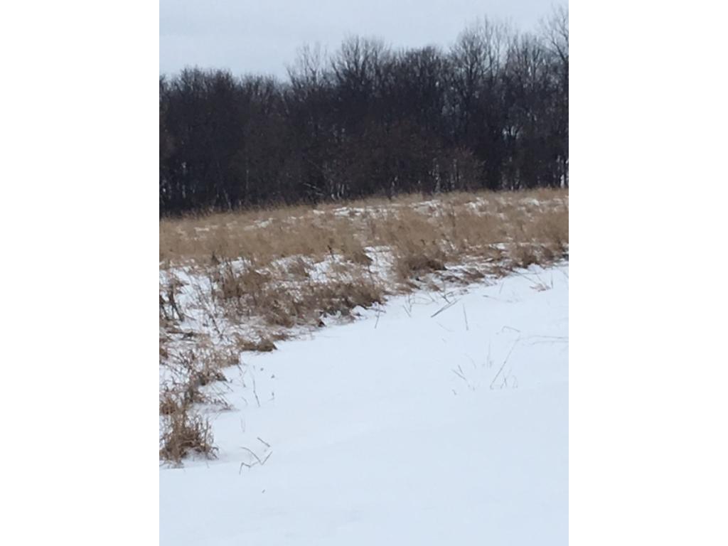 XXX County Rd 18, Dassel, MN 55325
