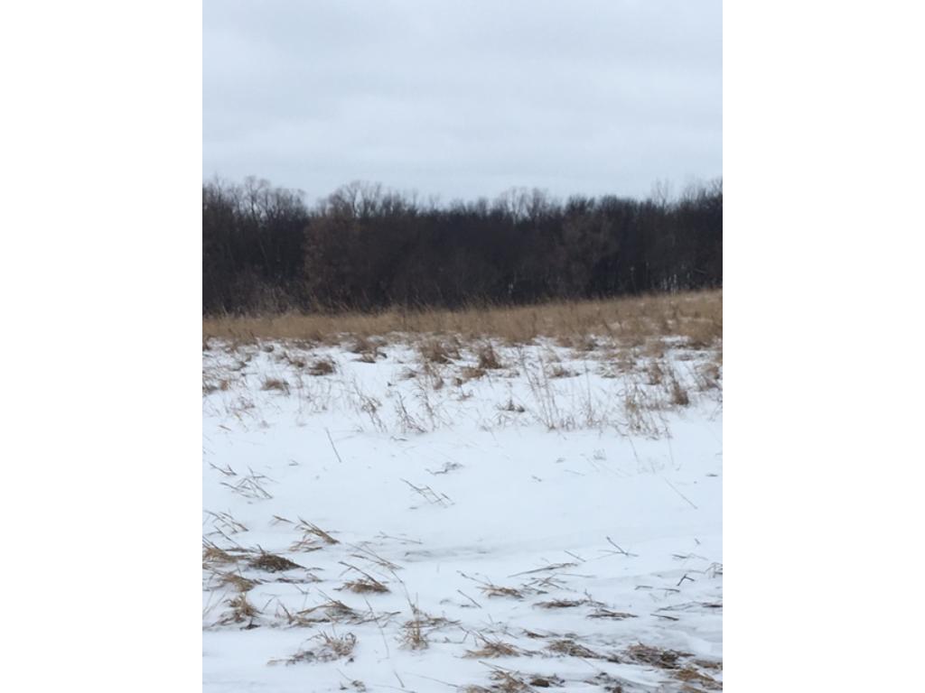 XXX County Rd 18, Dassel, MN 55325