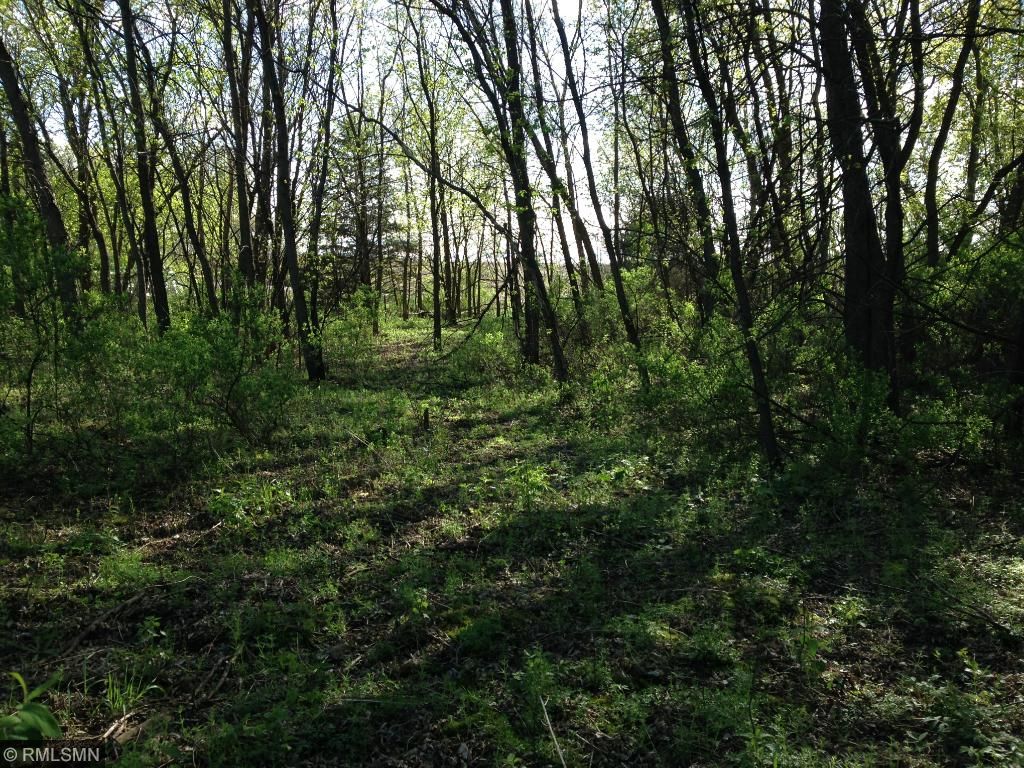 27230 734th Avenue, Dassel, MN 55325