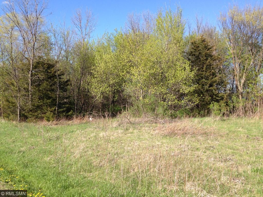 27230 734th Avenue, Dassel, MN 55325
