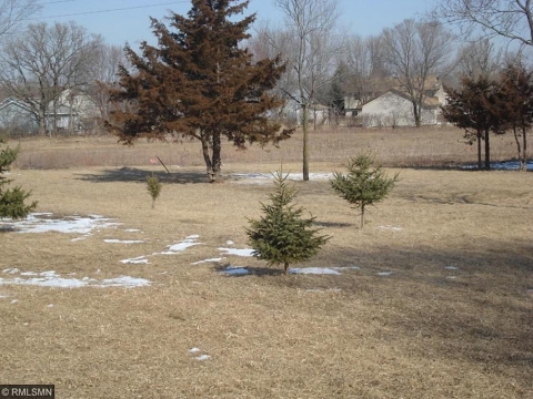 Xxx 95th Street Ne, Otsego, MN 55330