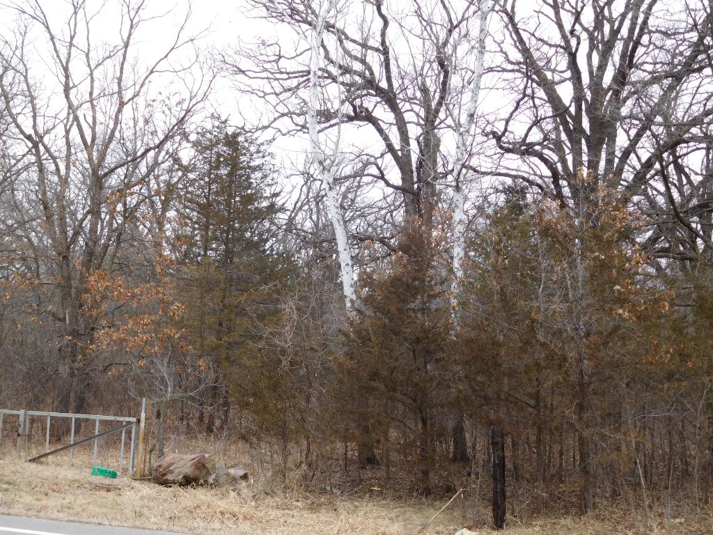 18xxx 152nd Street NW, Big Lake Twp, MN 55330