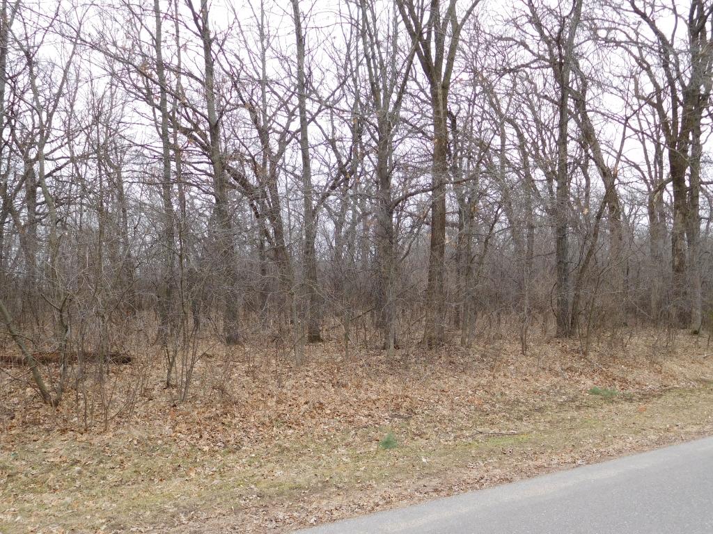 18xxx 152nd Street NW, Big Lake Twp, MN 55330