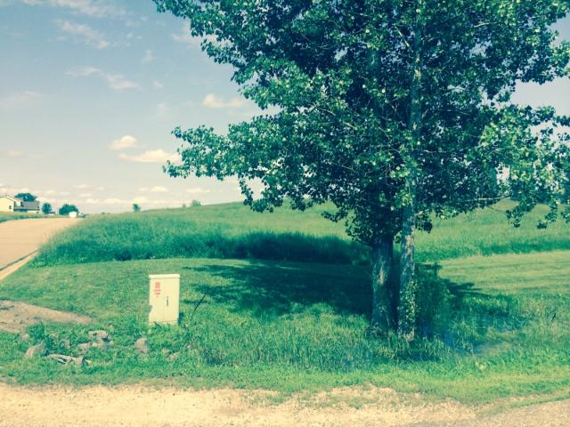 XXX Imhoff  Avenue SW, Howard Lake, MN 55349