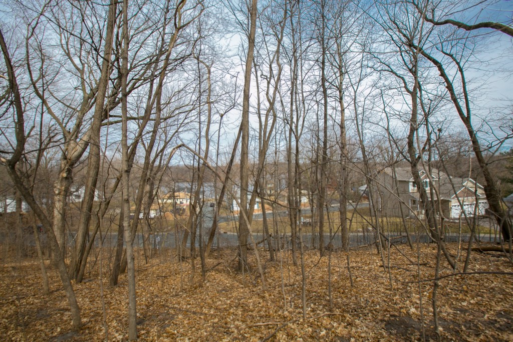 6273 Birch Lane, Mound, MN 55364