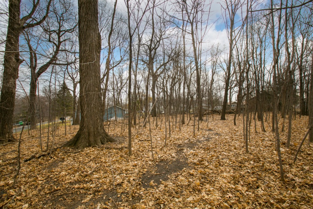 6273 Birch Lane, Mound, MN 55364