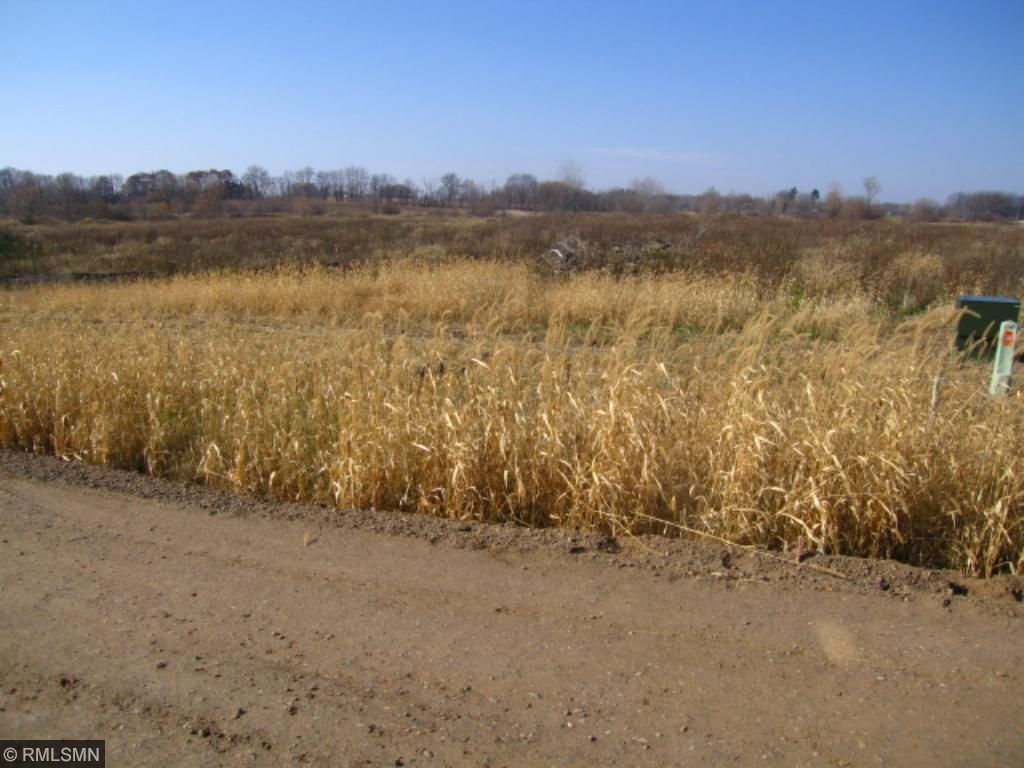 Lot 4 Blk 1 155th Avenue, Princeton, MN 55371