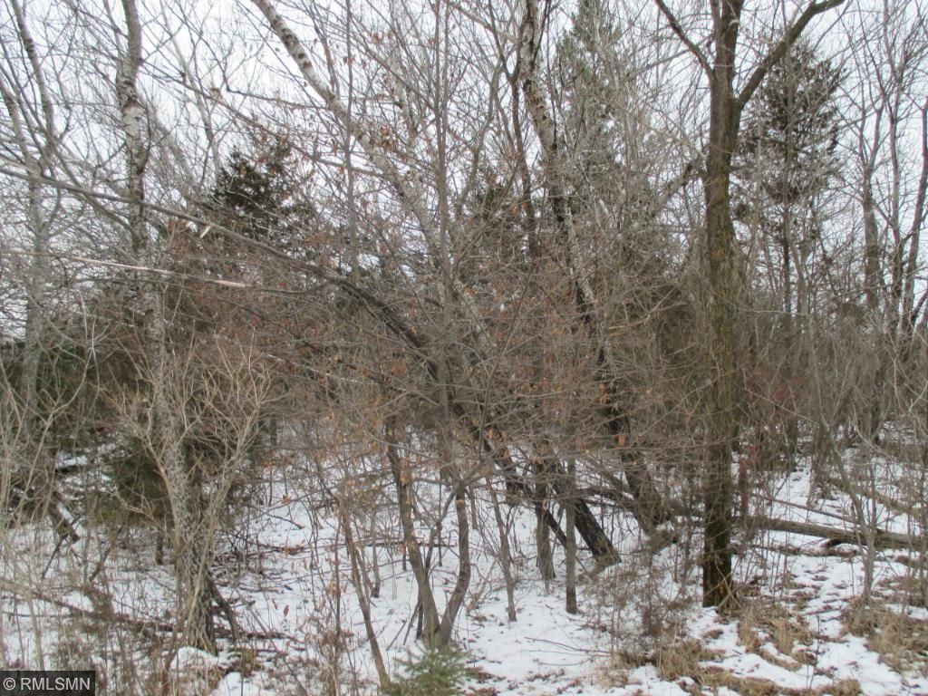 15843 107th Street NW, Southside Twp, MN 55382