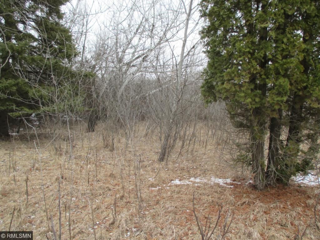 15843 107th Street NW, Southside Twp, MN 55382