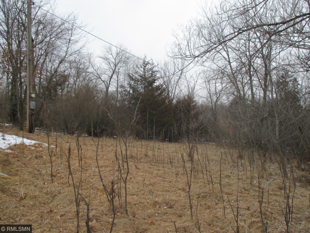 15843 107th Street NW, Southside Twp, MN 55382