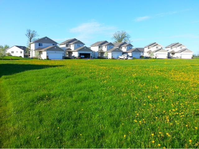 XXX Lake Trail, Winsted, MN 55395