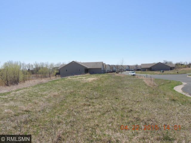 356 Meadow Lane, Norwood Young America, MN 55397