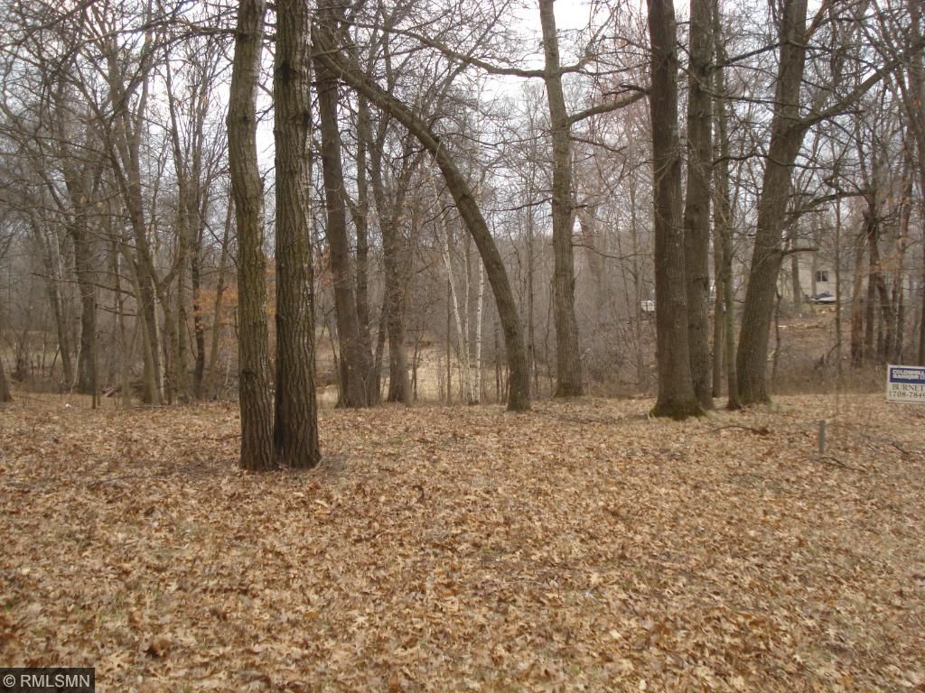Xxx 98 1/2 Street Nw, Baldwin Twp, MN 55398