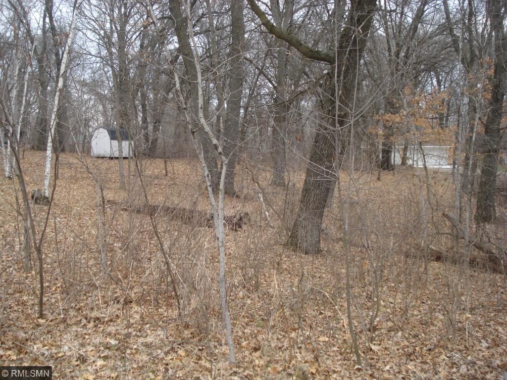 Xxx 98 1/2 Street Nw, Baldwin Twp, MN 55398