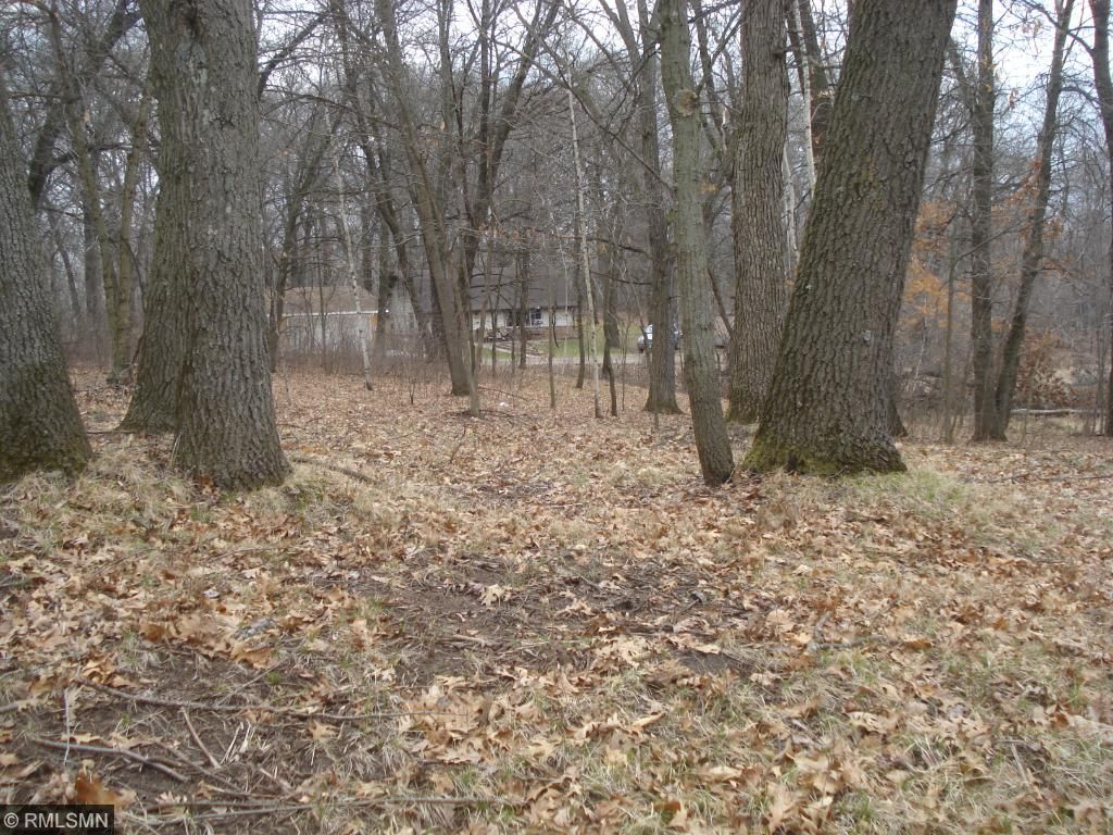 Xxx 98 1/2 Street Nw, Baldwin Twp, MN 55398