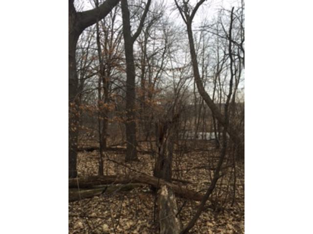 XXX Lake Avenue, Zimmerman, MN 55398
